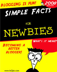 Image of a blogging book