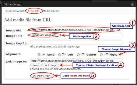 Image of linking to an Image URL