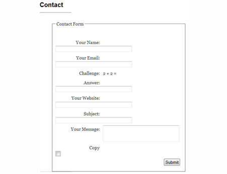 Example of a contact form
