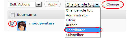 Image of contributor role