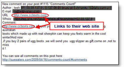 Image of spam comment